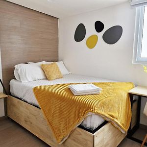 Appartement Rez-de-Chaussée